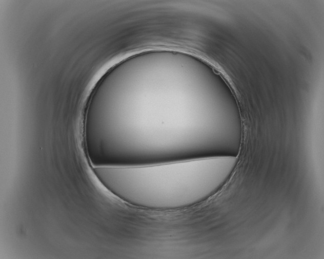 X0000114611531200910200929