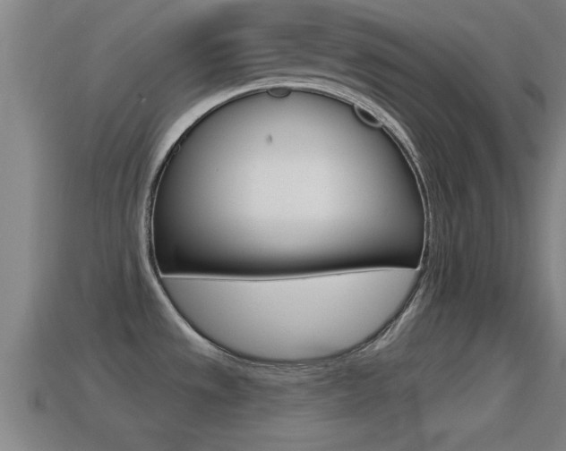 X0000114611533200910200929