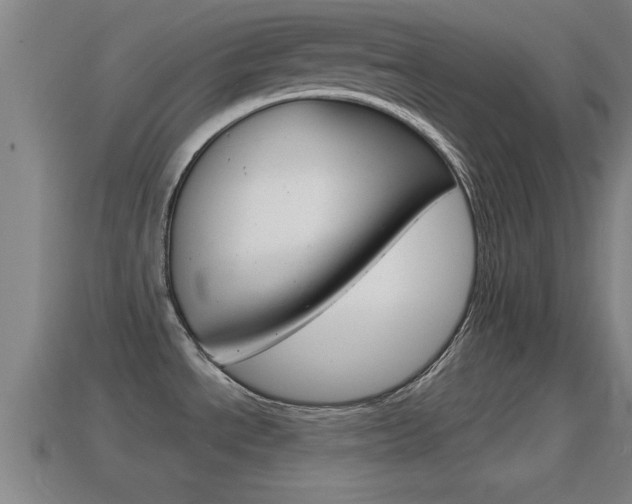 X0000114611534200910200929