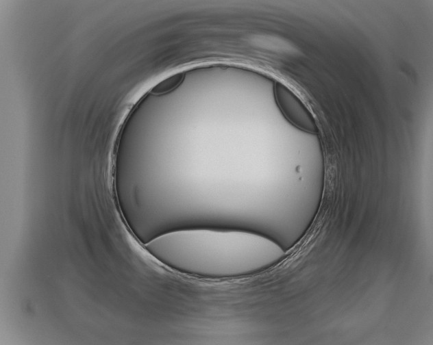 X0000114611535200910200929