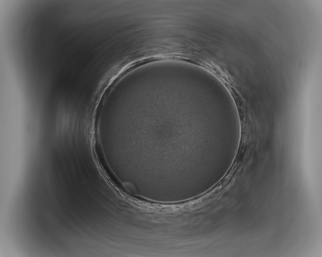 X0000114610002200910201202