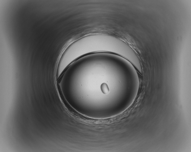 X0000114610003200910201202