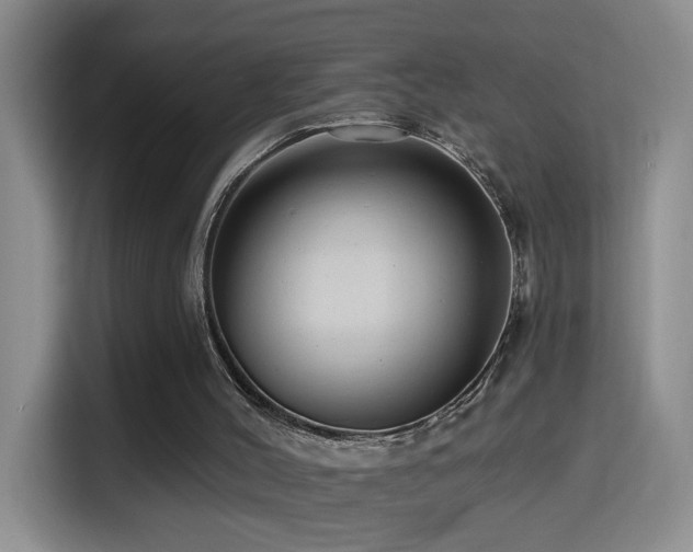 X0000114610004200910201202