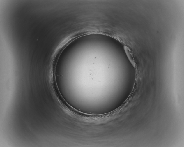 X0000114610005200910201202