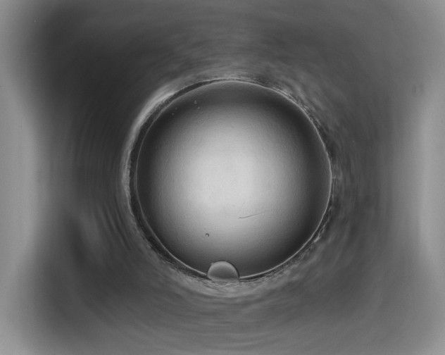 X0000114610006200910201202