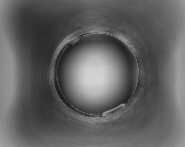 X0000114610007200910201202