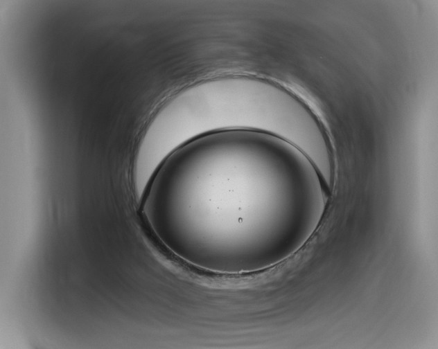 X0000114610009200910201202