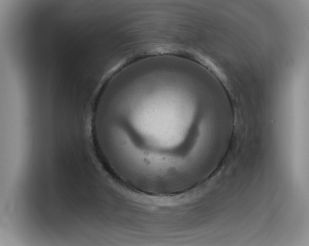 X0000114610010200910201202