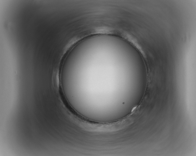 X0000114610011200910201202