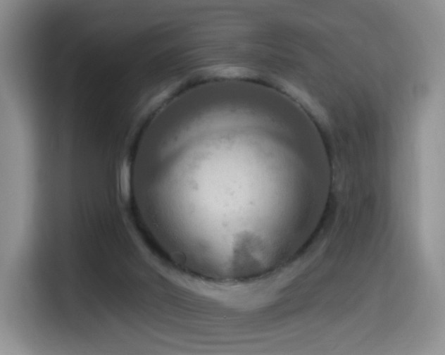 X0000114610014200910201202