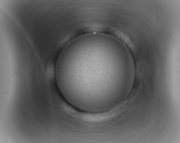 X0000114610017200910201202