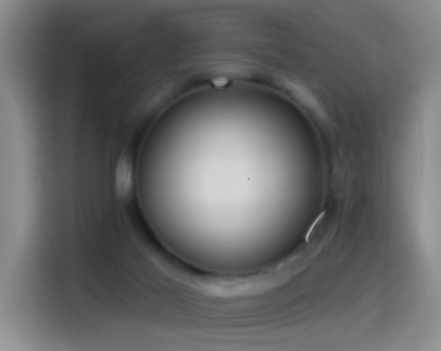 X0000114610021200910201202