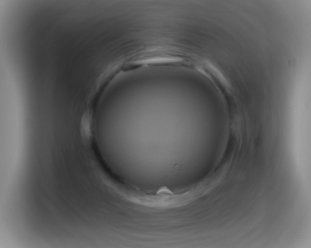 X0000114610023200910201201