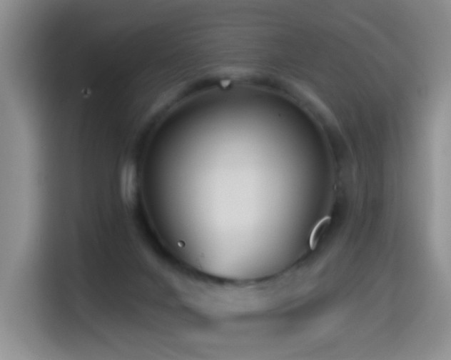 X0000114610024200910201201