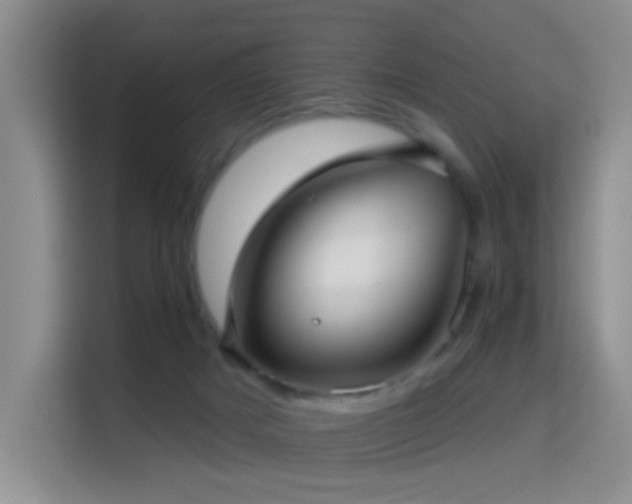 X0000114610025200910201201