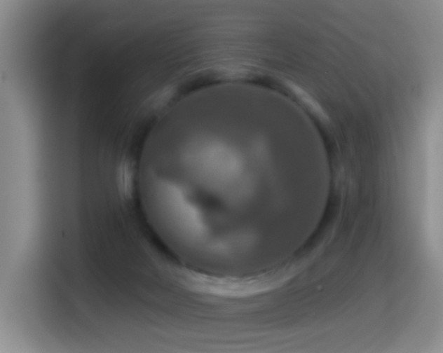 X0000114610026200910201201