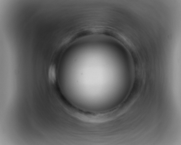 X0000114610028200910201201