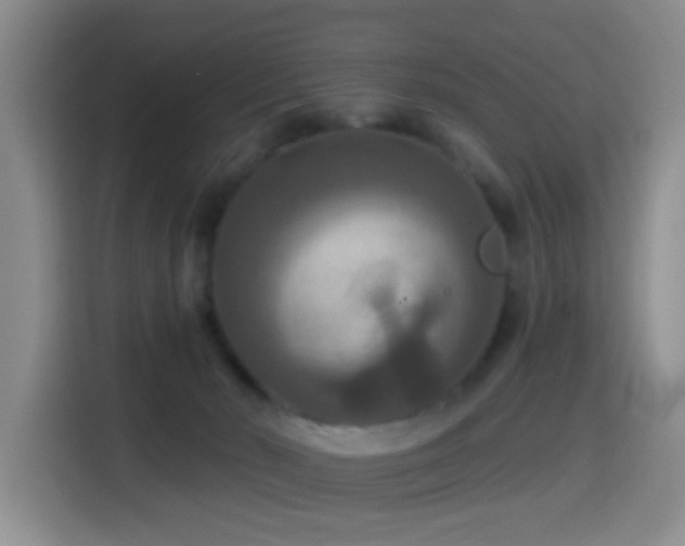 X0000114610030200910201201