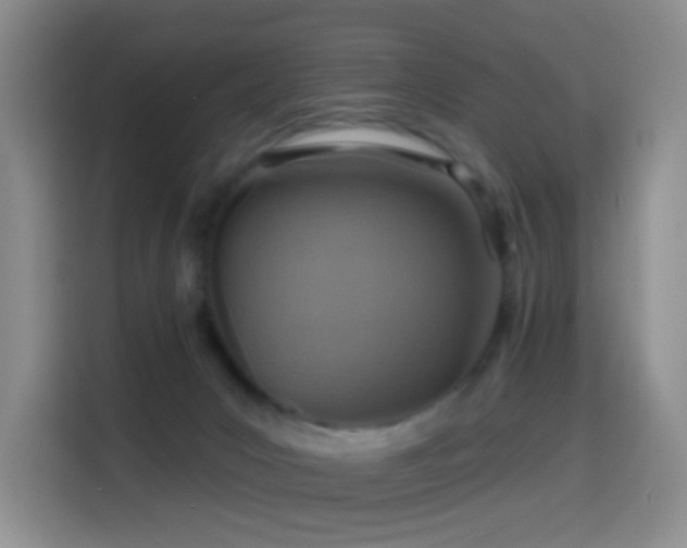 X0000114610031200910201201