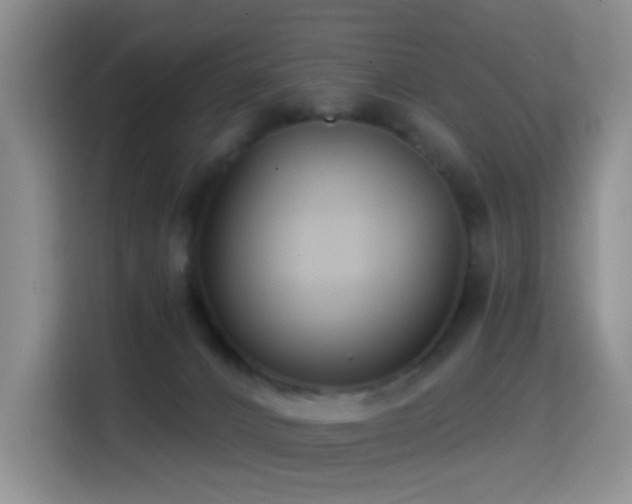 X0000114610032200910201201