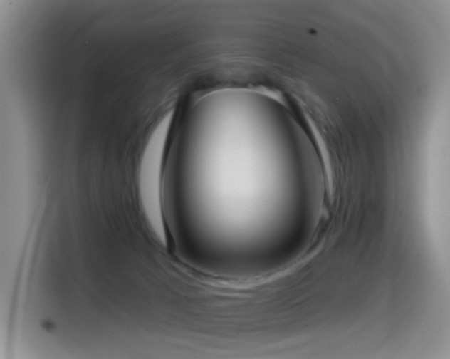 X0000114610033200910201201