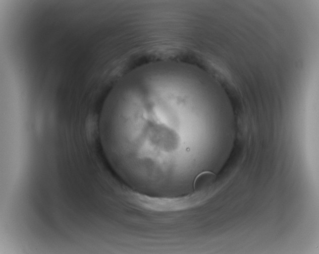 X0000114610034200910201201