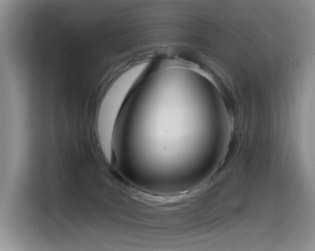 X0000114610035200910201201