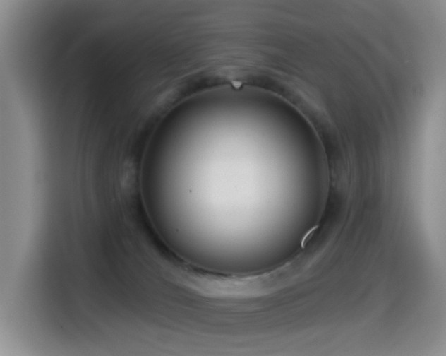 X0000114610036200910201201