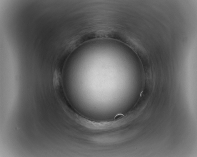 X0000114610038200910201201