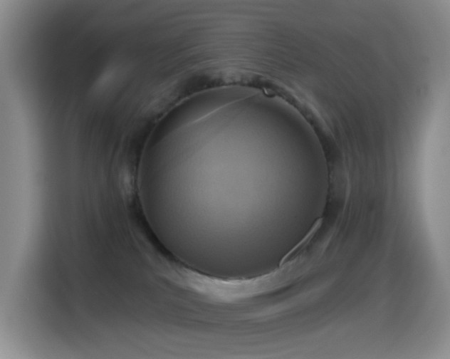 X0000114610039200910201201