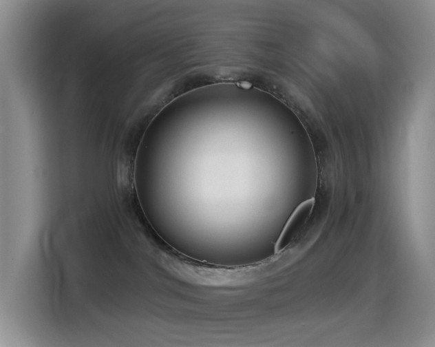 X0000114610044200910201201