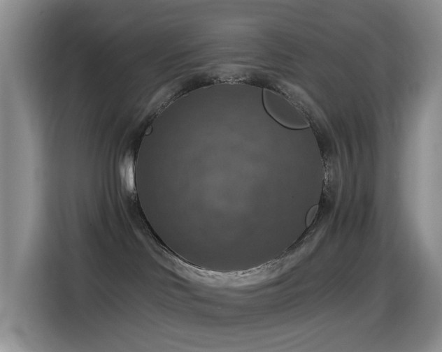 X0000114610046200910201201