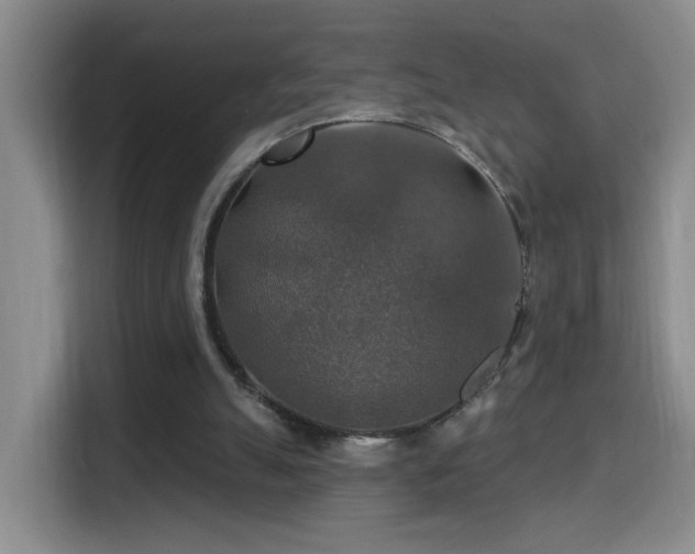 X0000114610055200910201201