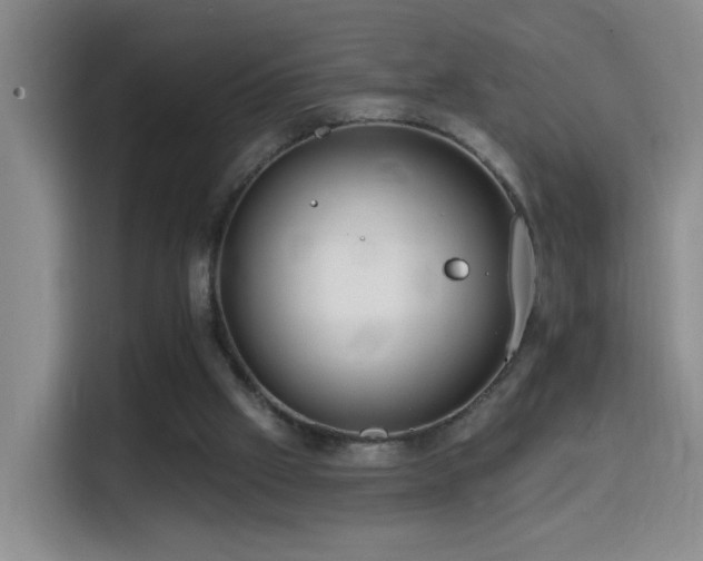 X0000114610057200910201201