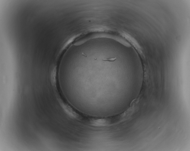 X0000114610058200910201201