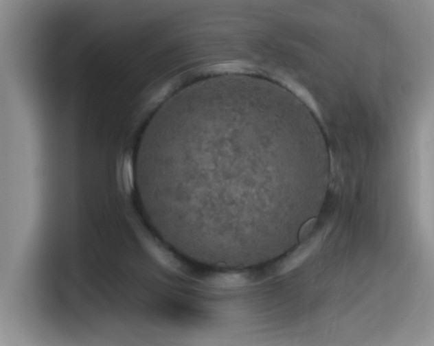 X0000114610061200910201201