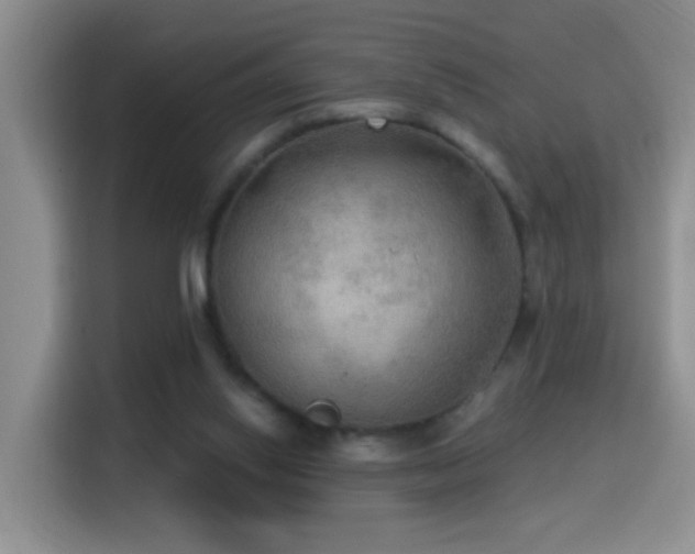 X0000114610062200910201201