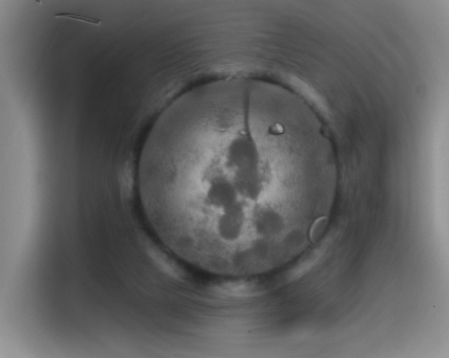 X0000114610065200910201201