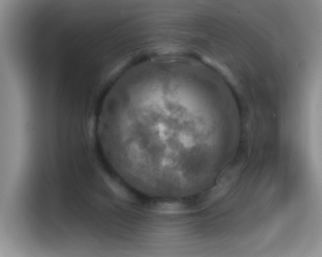 X0000114610066200910201201