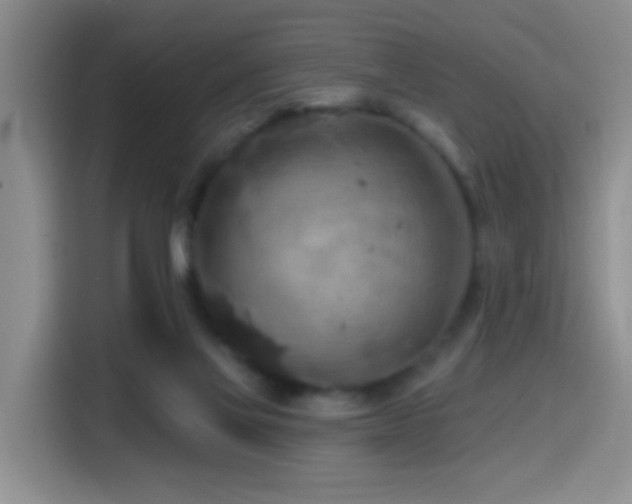 X0000114610069200910201201