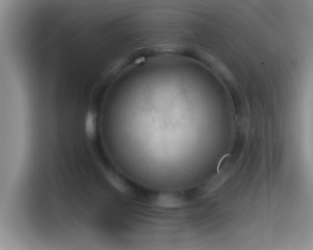 X0000114610070200910201201