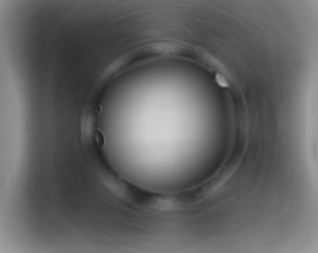 X0000114610071200910201201