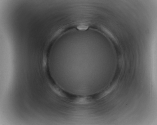 X0000114610072200910201201