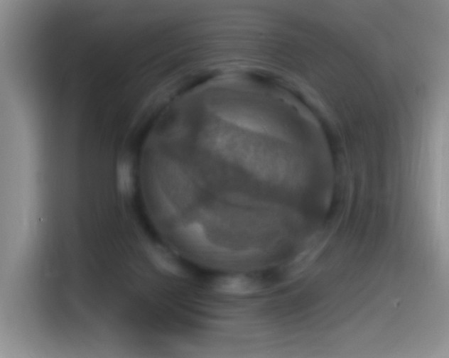 X0000114610074200910201201