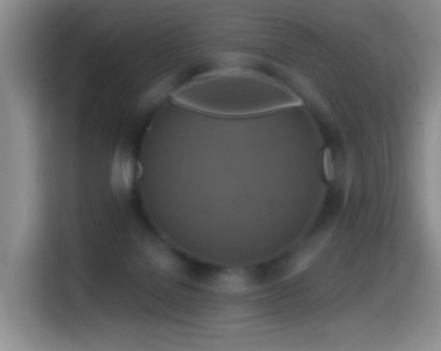 X0000114610076200910201201