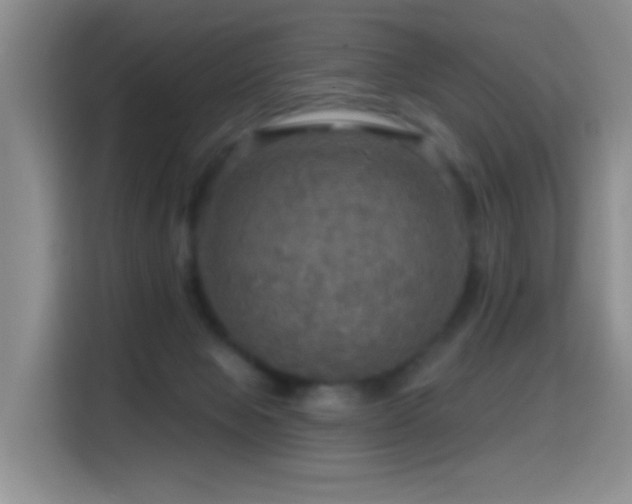 X0000114610077200910201201