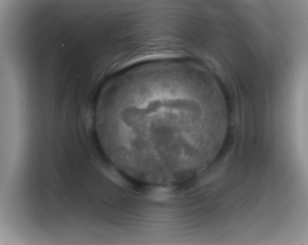 X0000114610081200910201201