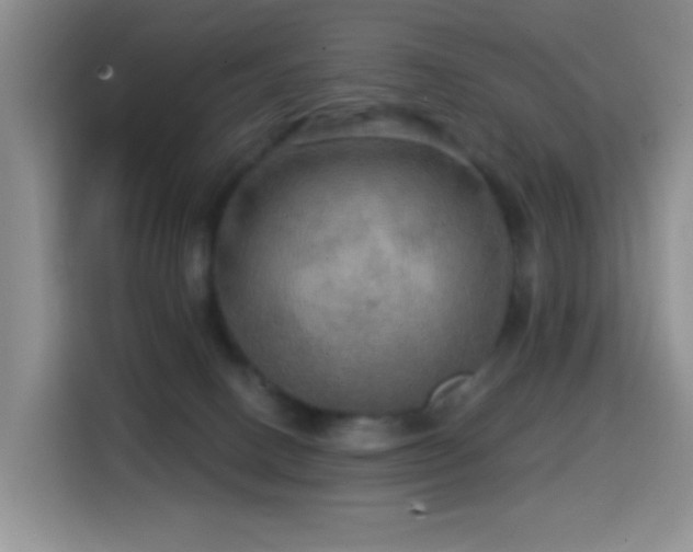 X0000114610082200910201201