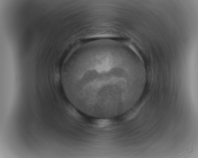 X0000114610085200910201201