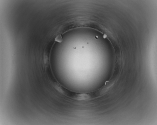 X0000114610087200910201201